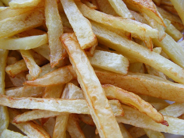 french-fries-87385_640